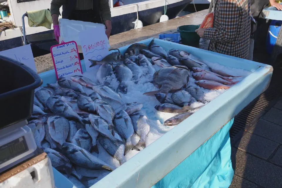 A view of the fresh fish on display at the harbor in Marseille.