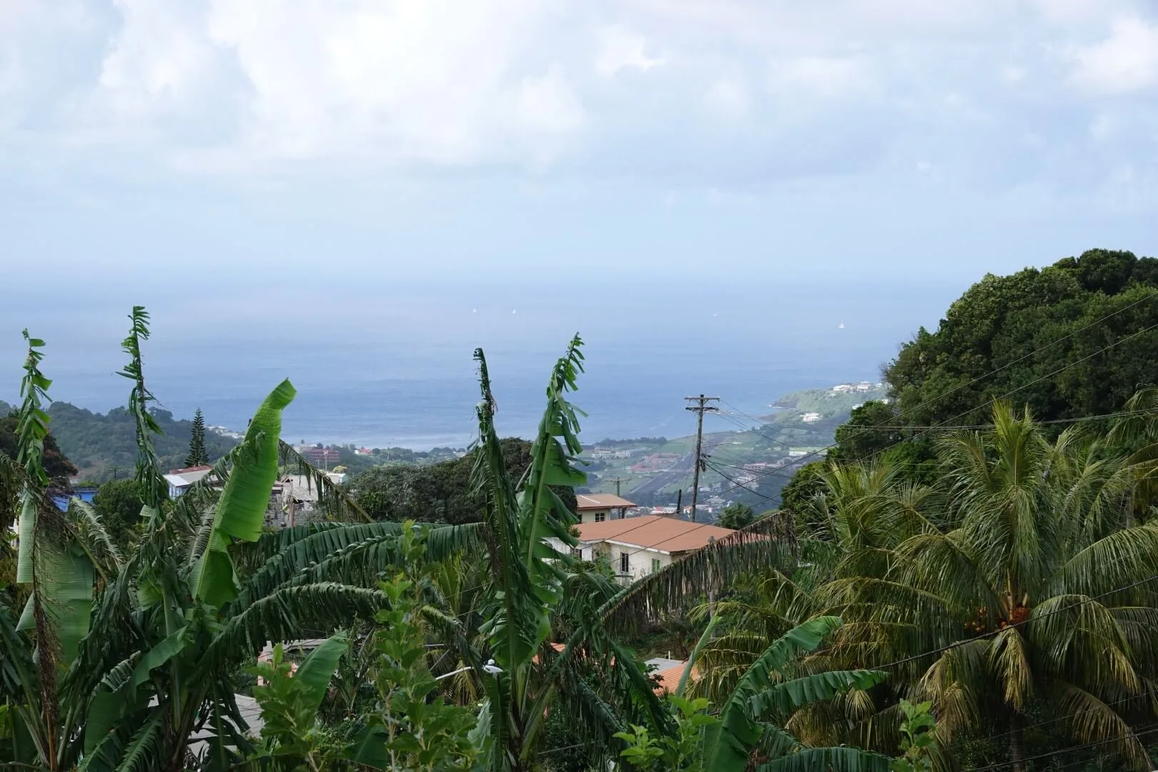 A view of the coastline from an elevated viewpoint.