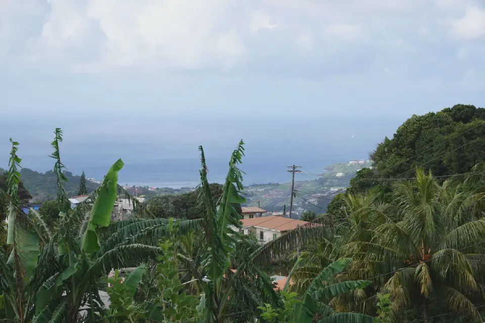 A view of the coastline from an elevated viewpoint.