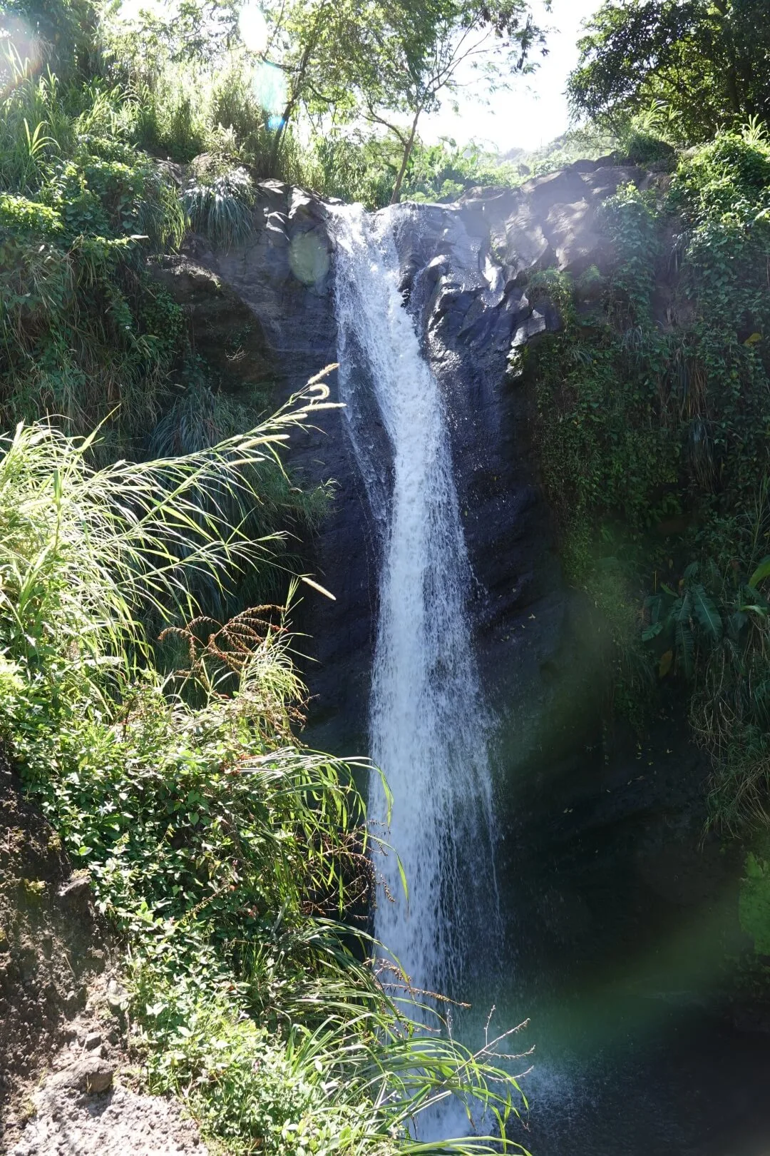A view of the Concord Waterfalls.