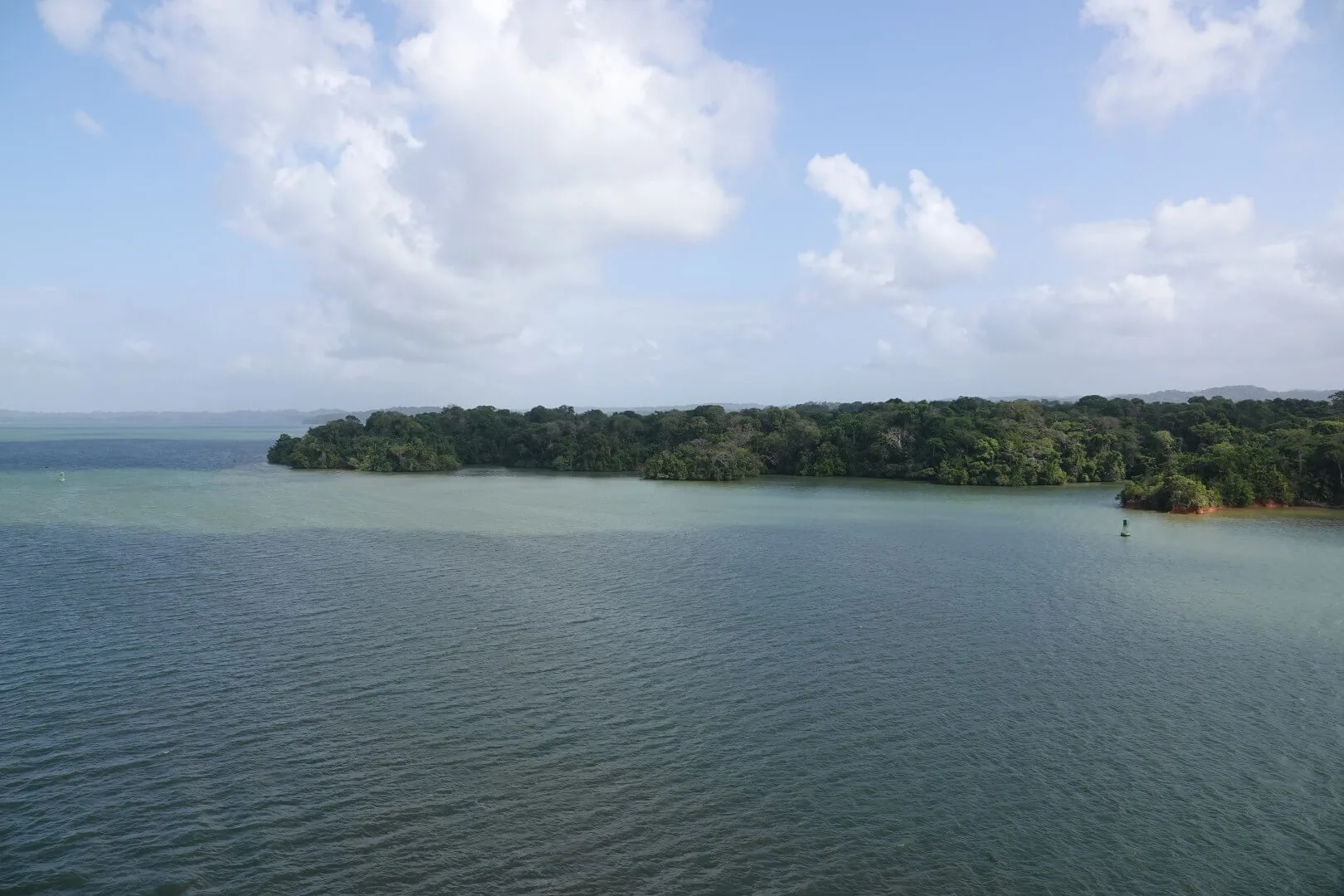 A view of the jungle along the edge of the Panama Canal.