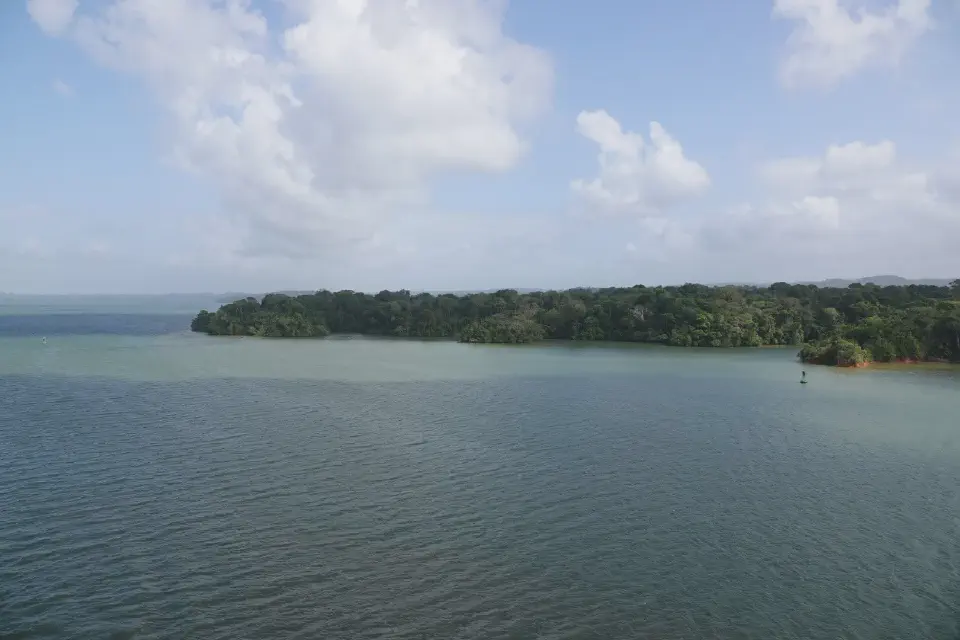 A view of the jungle along the edge of the Panama Canal.