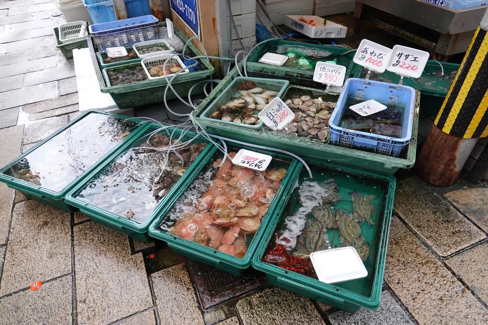 A display of fresh seafood in the shopping arcade.