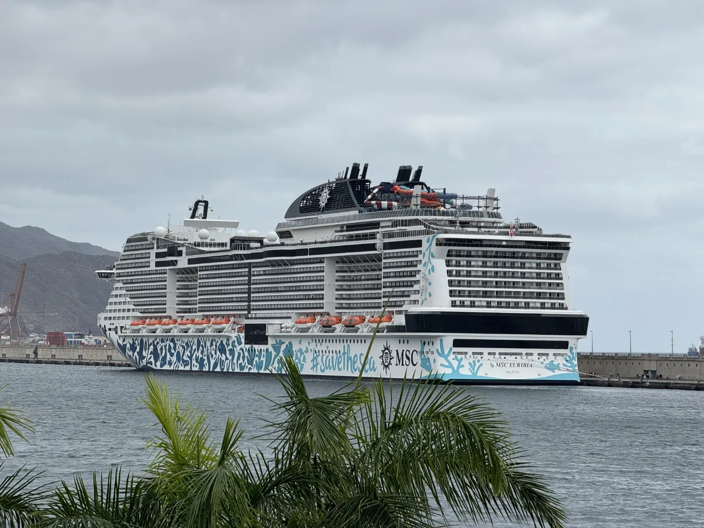 MSC Euribia in the port of Santa Cruz de Tenerife - an impressive sight against the backdrop of the Canary Islands.