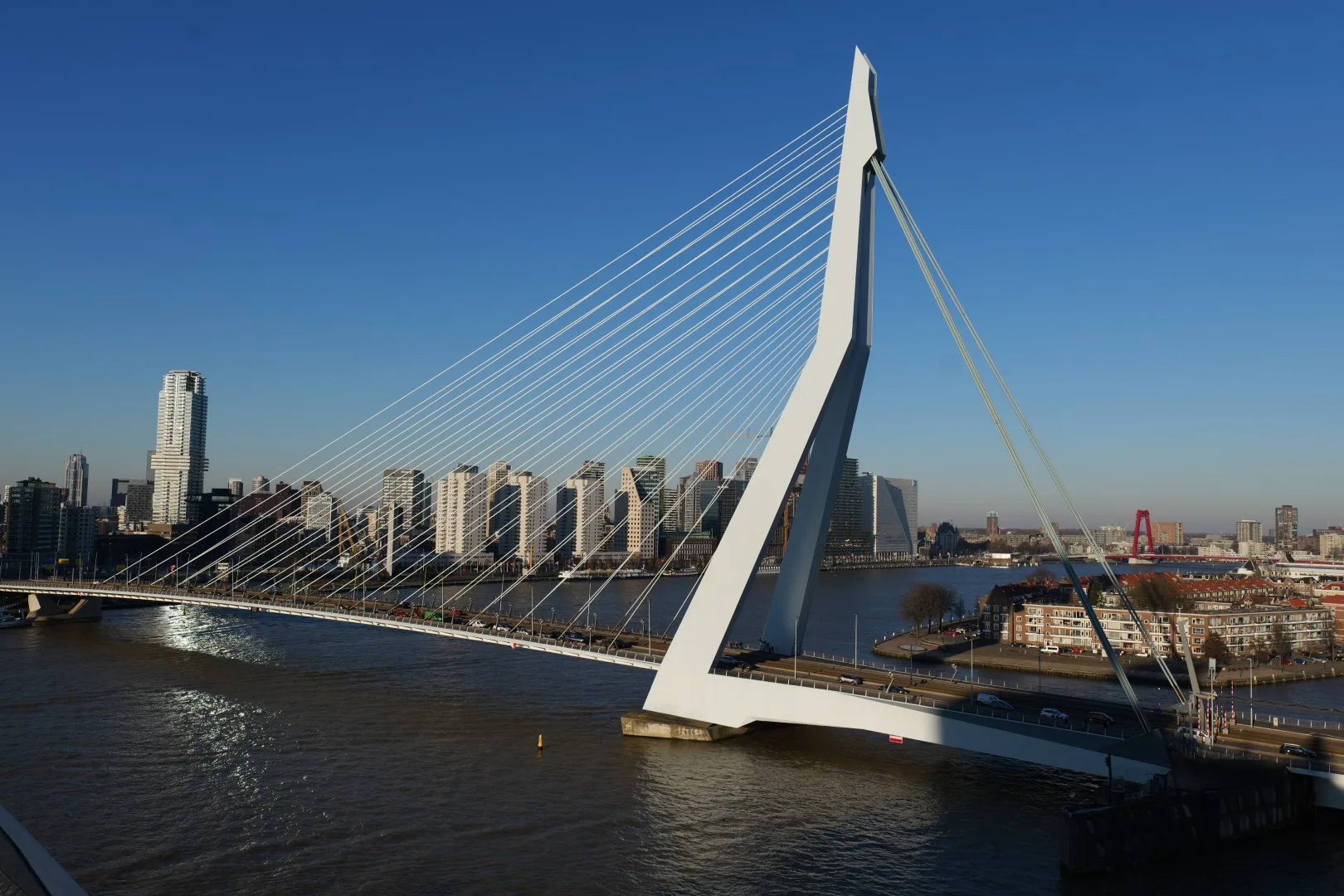 The Erasmus Bridge - Rotterdam’s elegant “swan” across the River Maas.