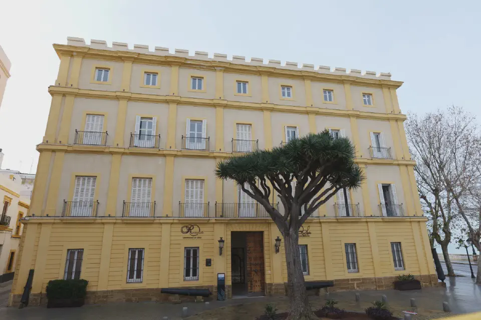 University of Cádiz - a historic building in the heart of the city, framed by old cannons and a striking tree.