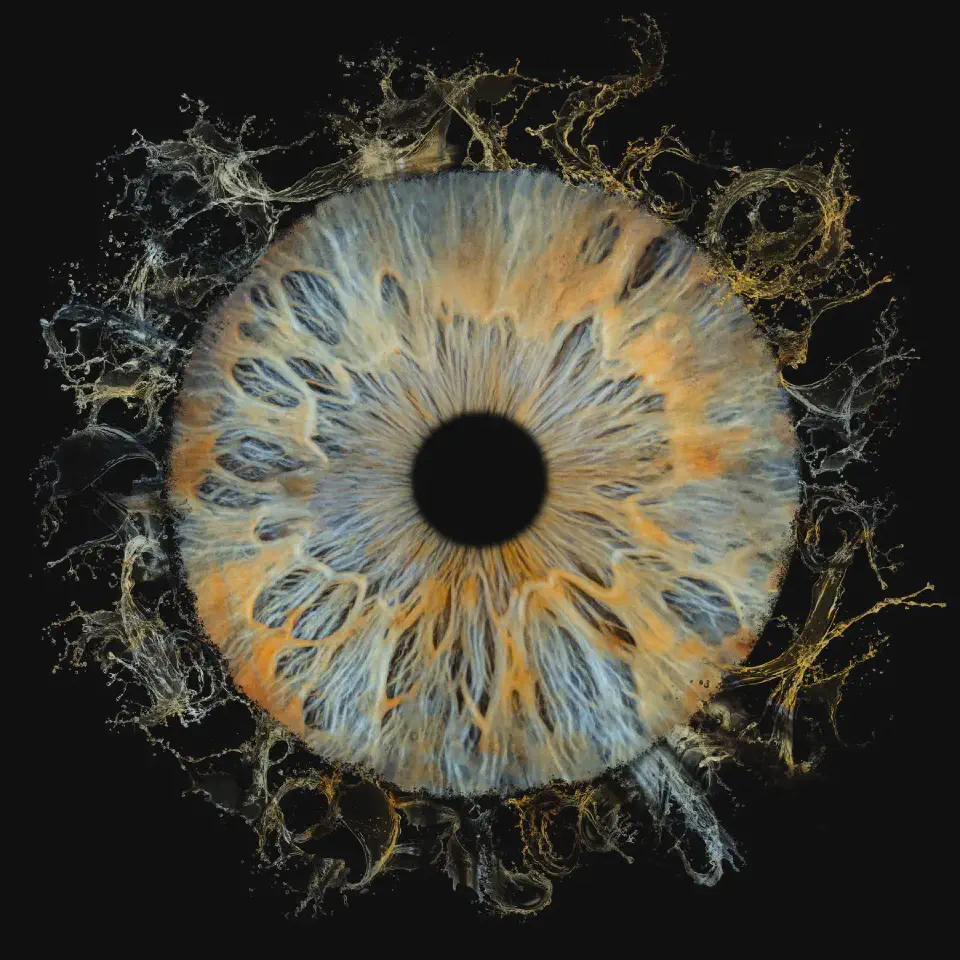 An extraordinary souvenir: the artistic photo of my iris.