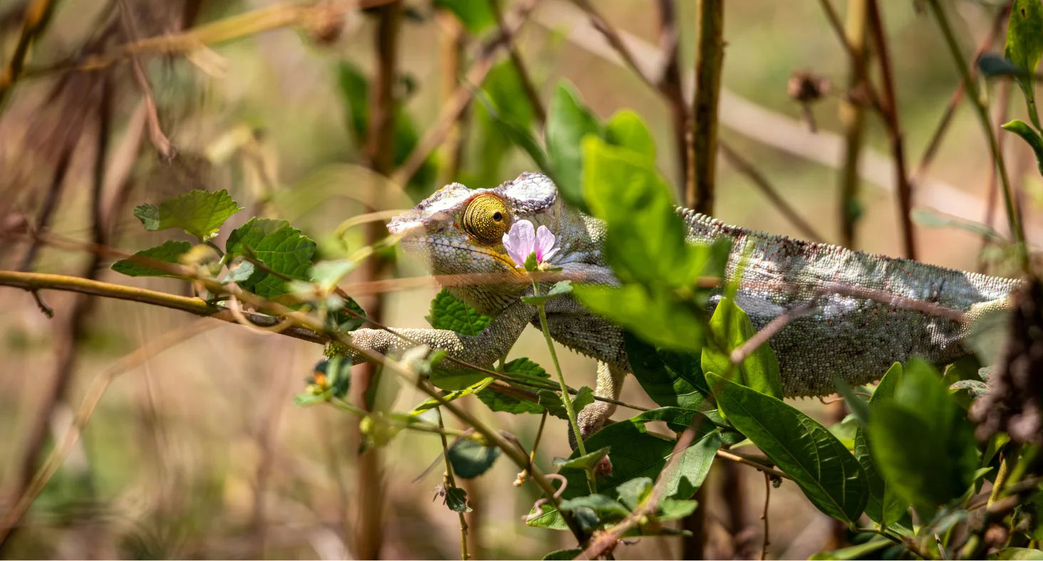 Hell-Ville, Madagascar