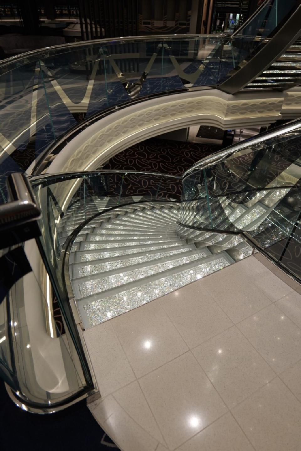 MSC Euribia - Photo 5