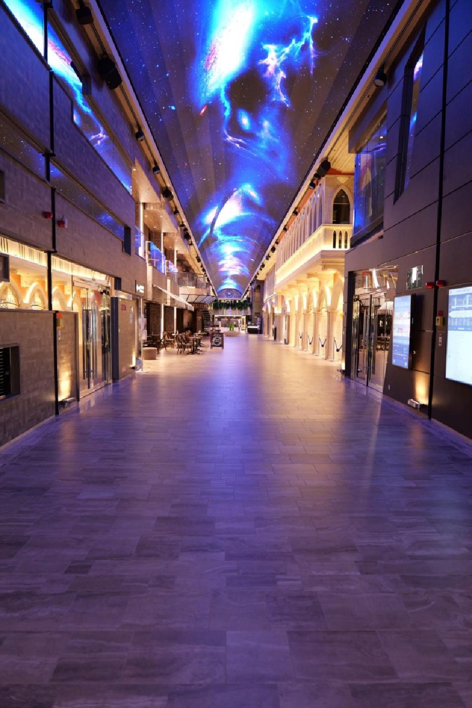 MSC Euribia - Photo 7