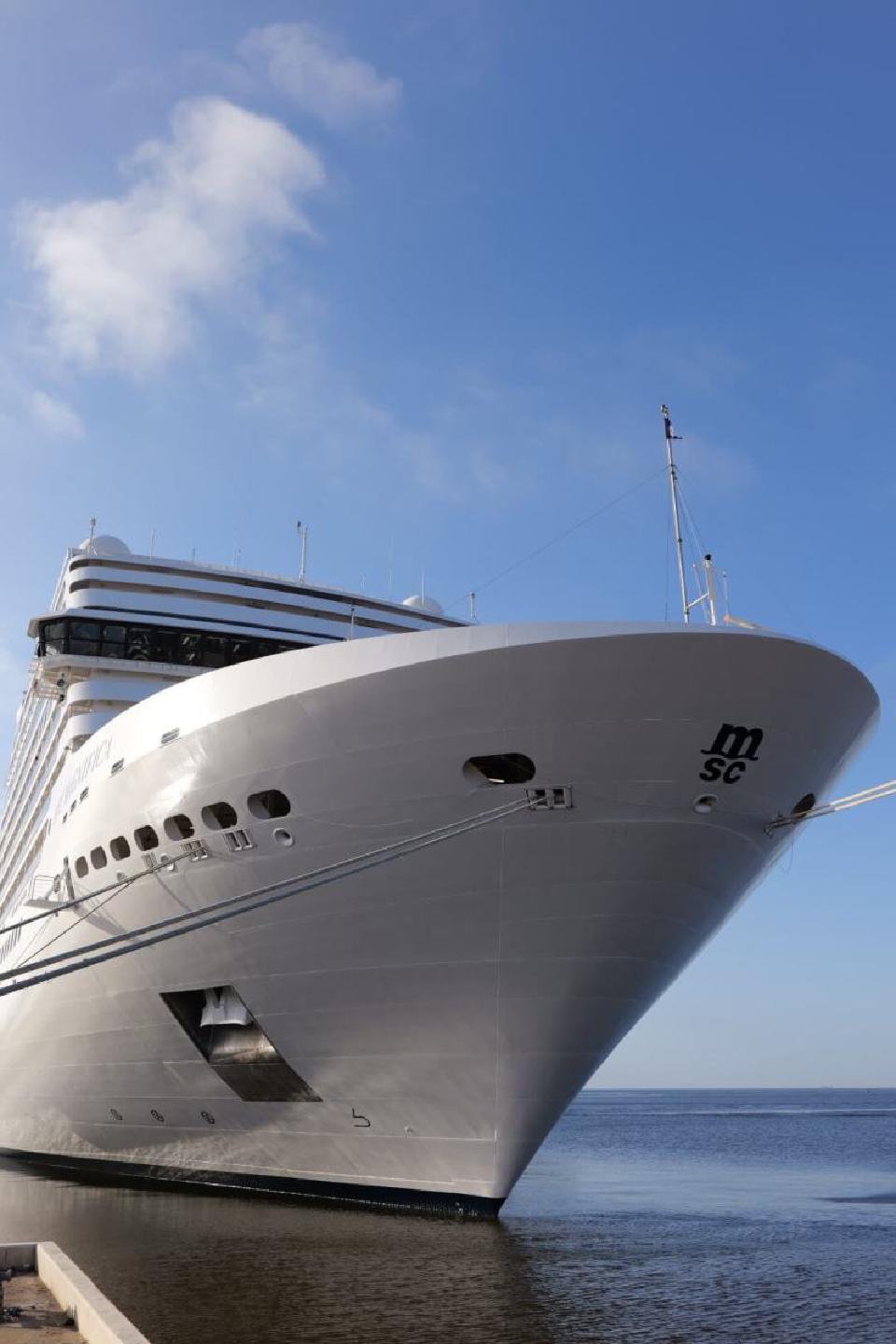 MSC Magnifica - Photo 1