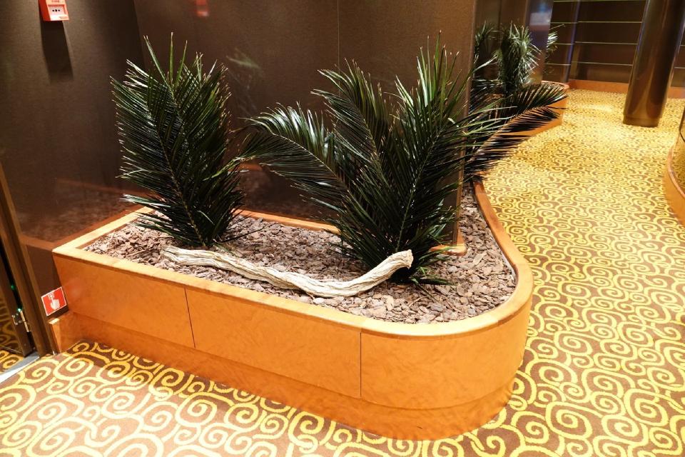 MSC Poesia - Photo 21