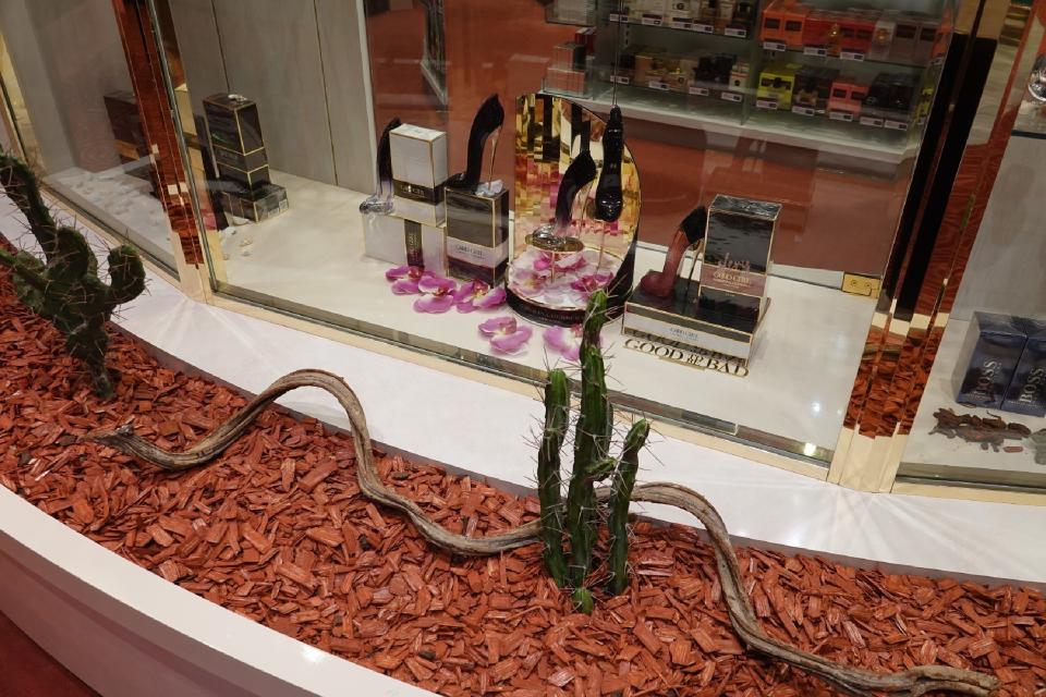 MSC Poesia - Photo 39